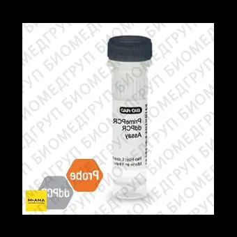 Набор ERBB2 CNV PrimePCR ddPCR, 200 реакций, BioRad, 1863306