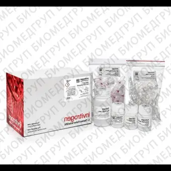 Набор PureLink PCR Purification Kit, Thermo FS, K310002, 250 выделений