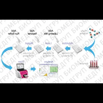 Панель для профилирования миРНК, Multiplex miRNA Assay Stem Cell Panel  Cellular, Abcam, ab204062, 96 тестов