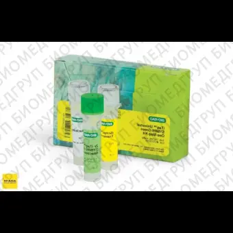 Набор iTaq Universal SYBR Green OneStep Kit, BioRad, 1725151, 500x20 мкл реакций