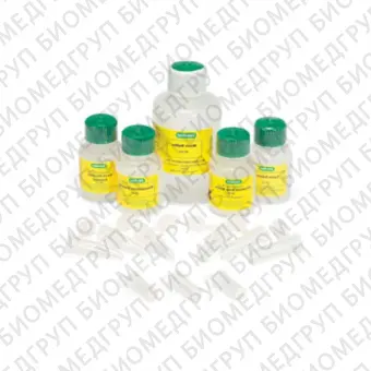 Набор Quantum Prep Plasmid Miniprep Kit для выделения плазмидной ДНК100 реакций