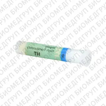 IPS e.max Press HT B3 керамические заготовки для техники прессования, 5 шт