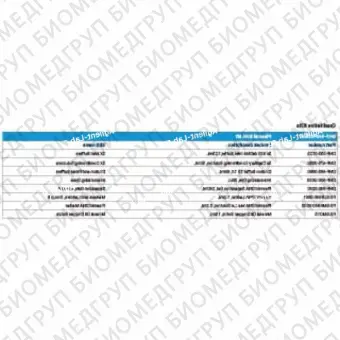 Набор для анализа плазмидной ДНК, 500 образцов