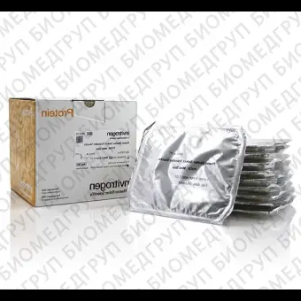 Мембраны Power Blotter Select Transfer Stacks mini, PVDF, 0,2 мкм,  с фильтровальной бумагой, 10 шт/уп, Thermo FS, PB5210