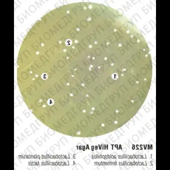 Бульон и агар APT, 500 г ФСЗ 2009/ 03706