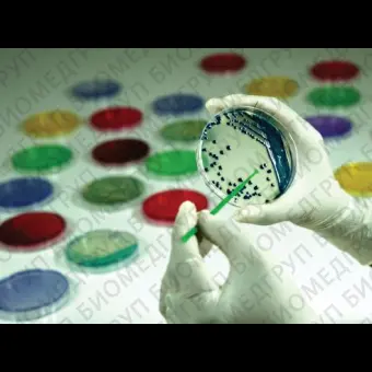 Агар YSG для обнаружения Alicyclobacillus во фруктовых соках, 500г