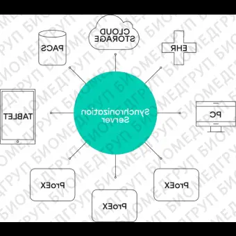 Медицинское программное обеспечение VF Sync