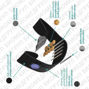 Поддерживающий пояс для поясничной зоны SKU: LSC02