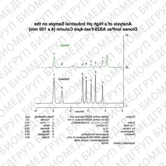 Dionex IonPac AS29Fast4m Analytical and Guard IC Columns