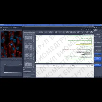 Программное обеспечение для цифровых микроскопов ZEN