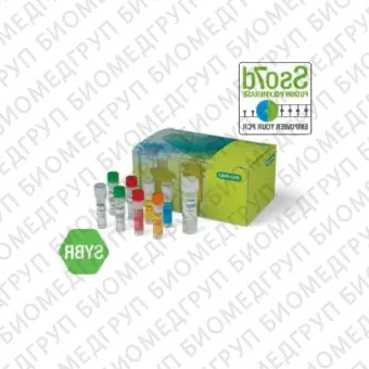 Набор SingleShot SYBR Green Kit для лизиса клеток и двухстадийной ОТПЦР в реальном времени с SYBR Green I100 реакций