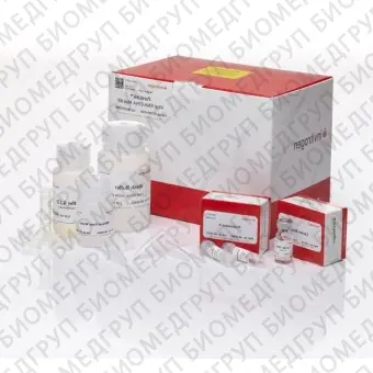 Набор PureLink Viral RNA/DNA Mini Kit, Thermo FS, Thermo FS, 12280050, 50 выделений