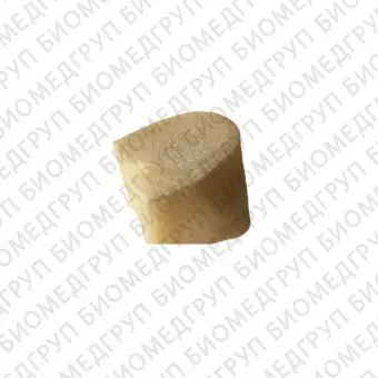 Сменные костные блоки к модели челюсти FJI8, 2 шт. в комплекте
