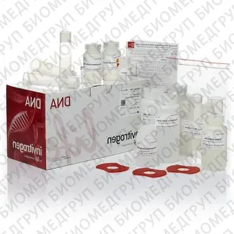 Набор PureLink HiPure Plasmid Maxiprep Kit, Thermo FS, K210007, 25 выделений