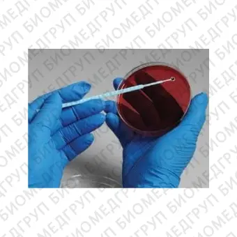 Bifidobacterium breve, штамм ATCC 15700, 5 петель, Thermo FS, R4606801
