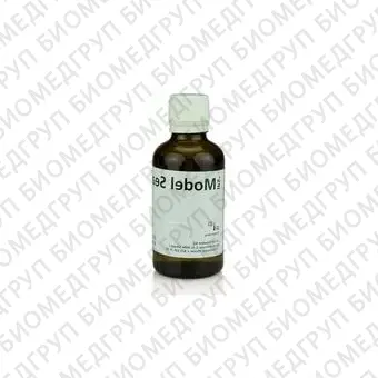 IPS InLine Лак изолирующий для моделей Model Sealer 50 мл 593401