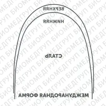 Дуги ортодонтические международная форма нижние INT Niti TA L .016/.41