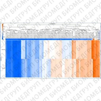 Панель для профилирования миРНК, Multiplex miRNA Assay Oncology Panel  Circulating, Abcam, ab203185, 96 тестов