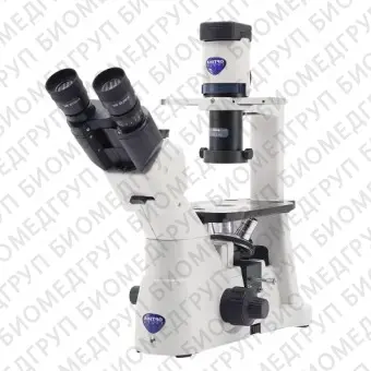 Серия XDS Инвертированный микроскоп cерии XDS исследовательского уровня