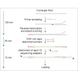 Набор для секвенирования кДНК со стадией ПЦР, PCR-cDNA Sequencing Kit, Oxford Nanopore Technologies, SQK-PCS109