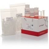 Набор PureLink PCR Micro Kit, Thermo FS, K310250, 250 выделений