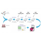 Панель для профилирования ми-РНК, Multiplex miRNA Assay Core Reagent Kit - Circulating (crude biofluid), Abcam, ab203184, 96 тестов