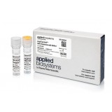 ДНК-полимераза AmpliTaq Gold DNA Polymerase с буферным раствором I, Thermo FS, N8080258, 25x1000 единиц