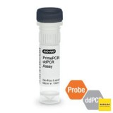 Набор PIK3CA E542K мутация PrimePCR ddPCR, 200 реакций, Bio-Rad, 1863131