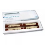 Spofadent Plus (В1) 1/40-0/7-1/62