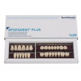 Spofadent Plus (В2) 62-0/11-1/62