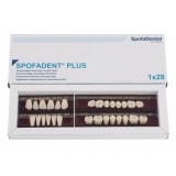 Spofadent Plus (А1) 1/47-0/6-1/72