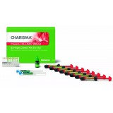CHARISMA CLASSIC COMBI KIT (КАРИСМА КЛАССИК) светоотверждаемый микрогибридный материал для пломбирования, набор 8 х 4 г. + Gluma 2Bond