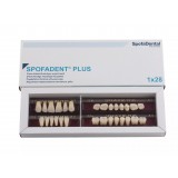 Spofadent Plus (А3) 1/17-0/6-77N