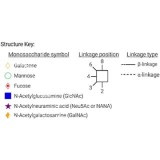 Стандарт N-гликанов AdvanceBio InstantAB Man3F / FM3 (ранее ProZyme)