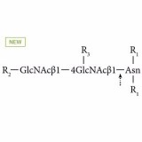 AdvanceBio N-Glycanase-plus (PNGase F), ≥10 ЕД/мл (ранее ProZyme)