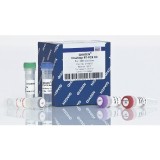 Набор OneStep RT-PCR Kit(25 реакций)
